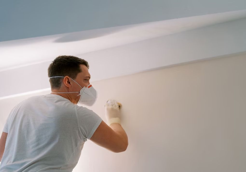 Unveiling the Costs of Mold Removal in Las Vegas